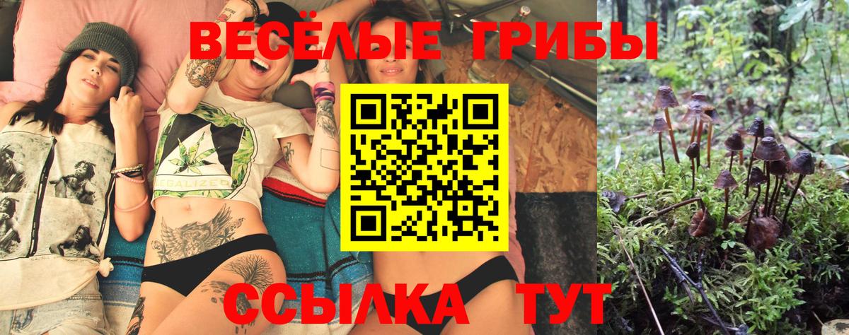 Псилоцибиновые грибы ЛСД Чита